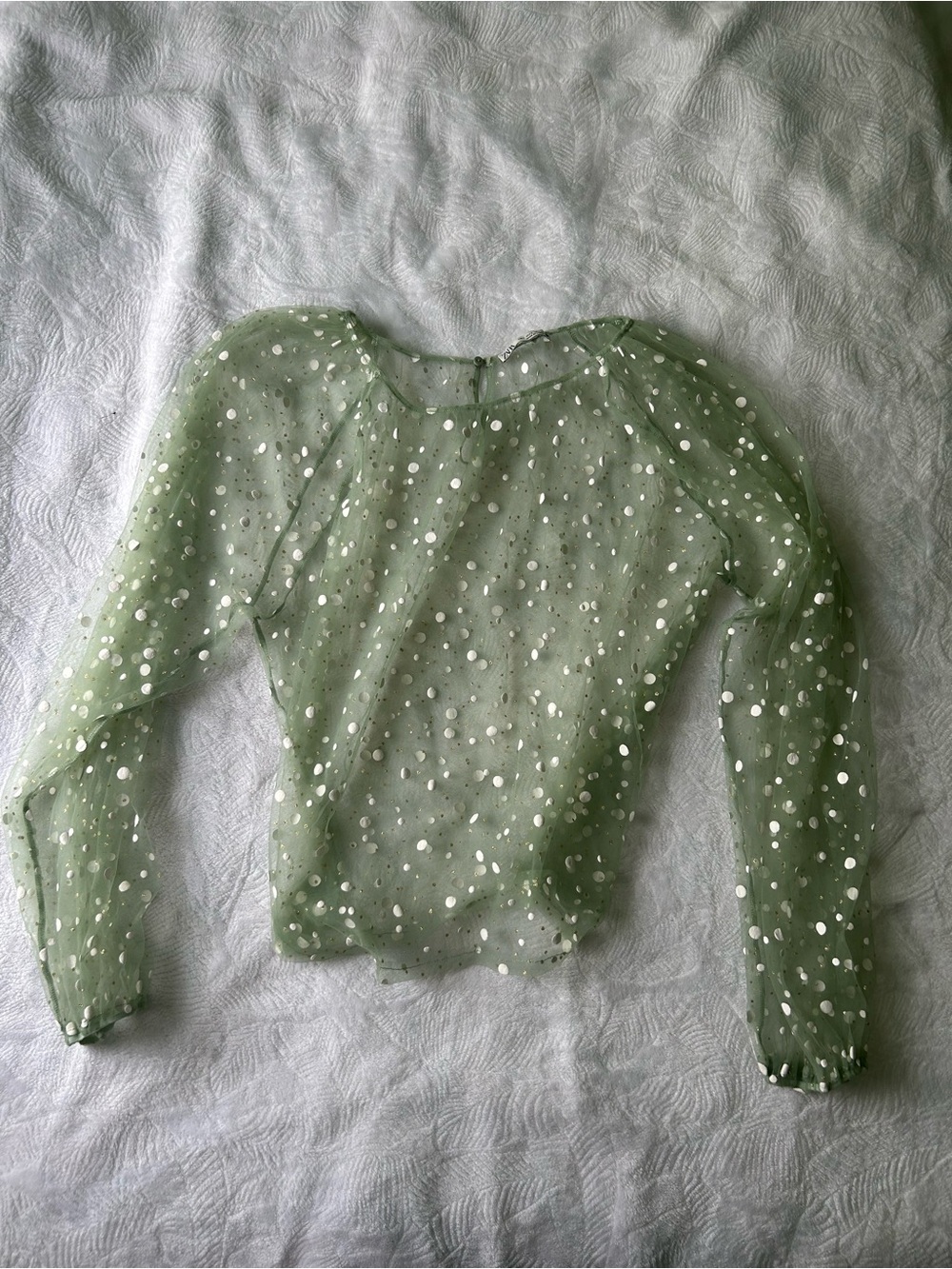 ZARA Sheer Green Polka Dot Long-Sleeve Top